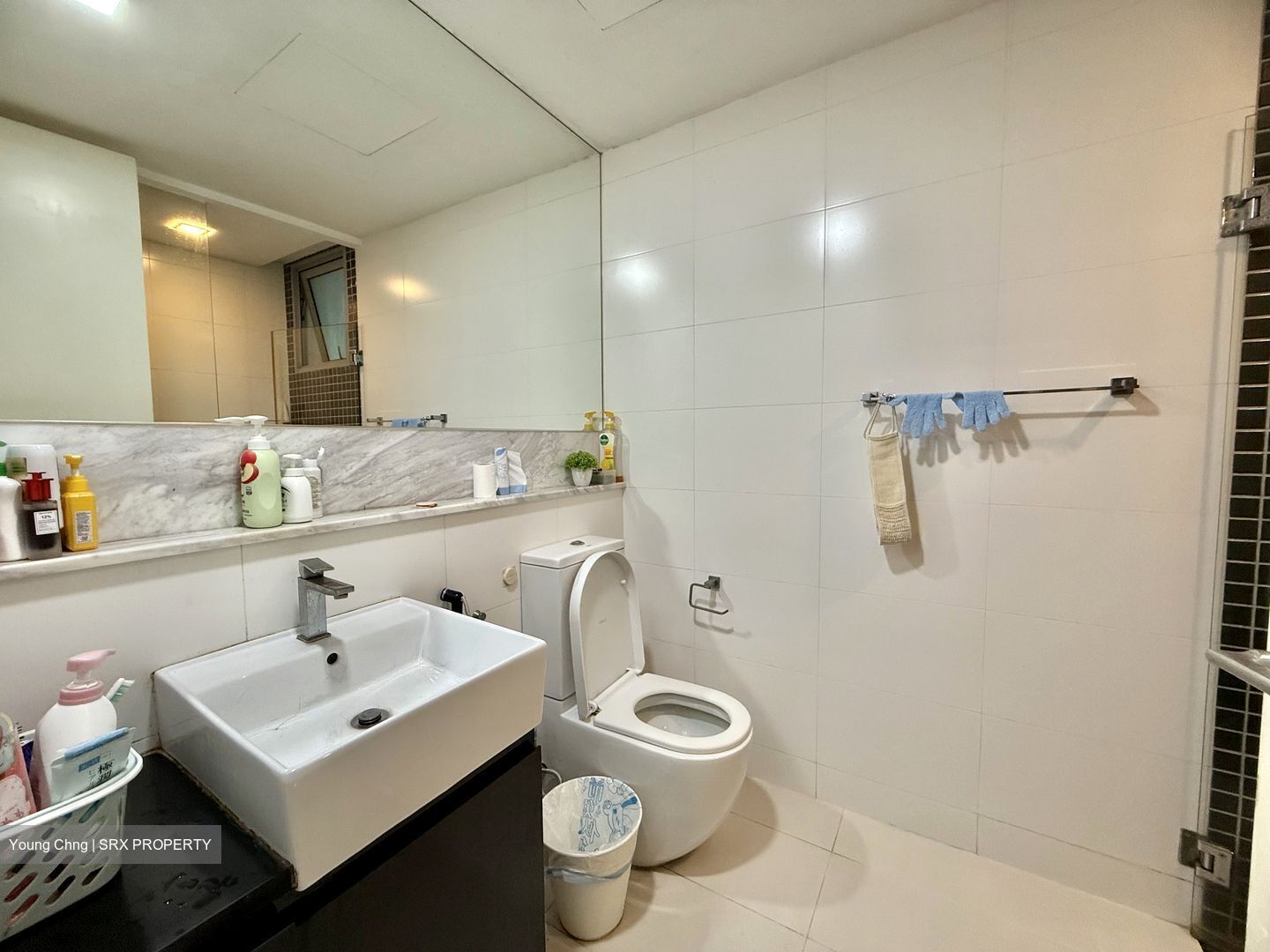 Ferraria Park Condominium (D17), Condominium #607501421